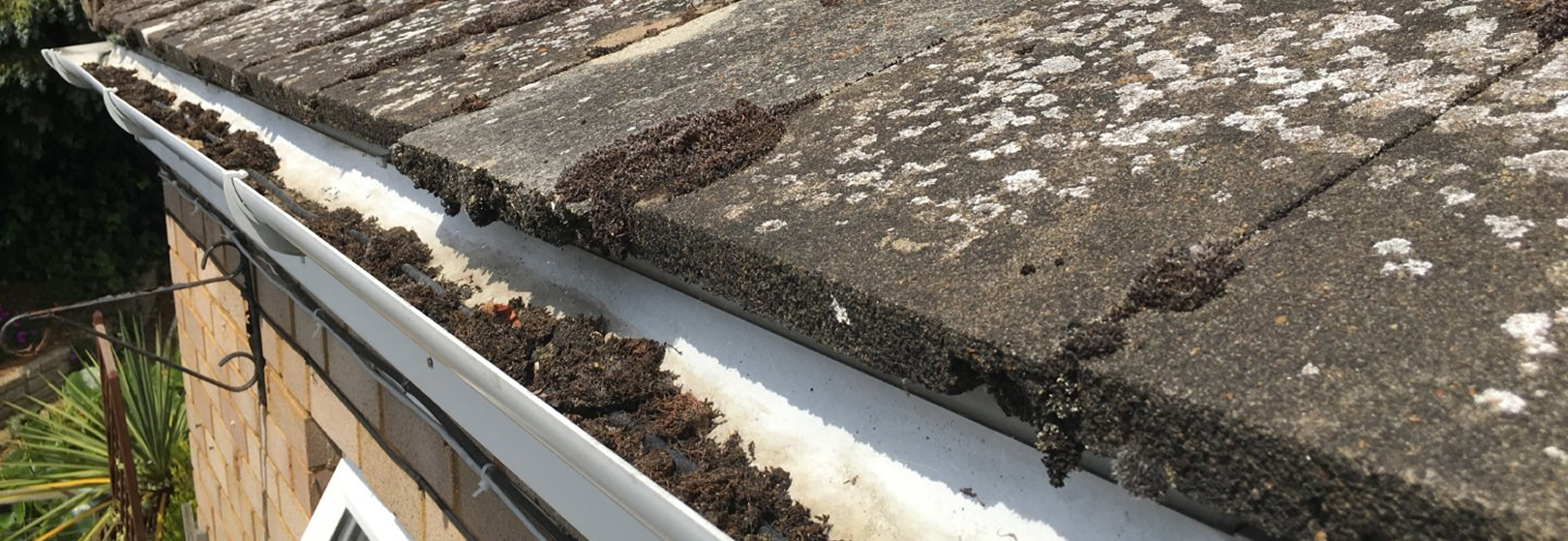 Essential reasons for regular gutter cleaning Image (content_834m9lxf5ur1ijc_425.jpg)