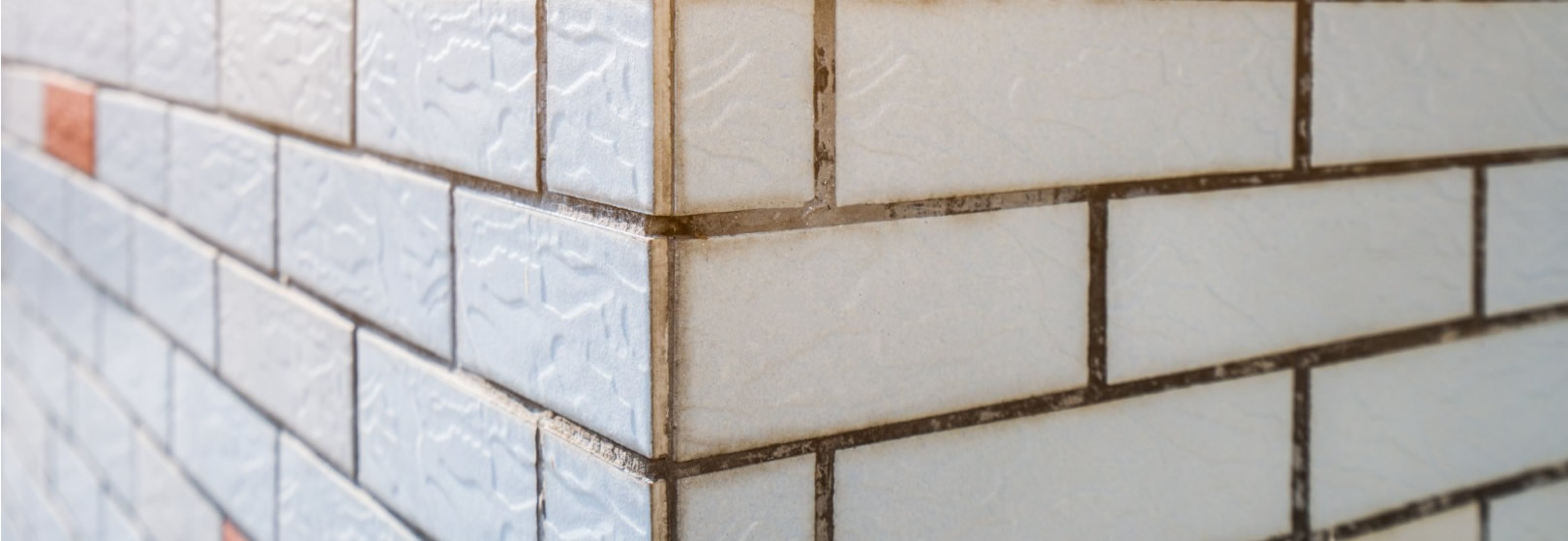 Grout Cleaning & Replacement Ipswich Image