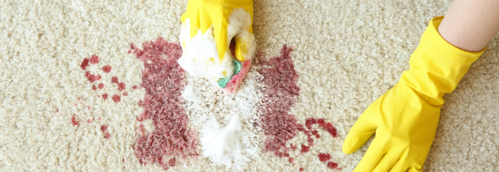 How to clean your carpets and rugs a step-by-step guide Image (content_c3dm92evsh4j67g_723.jpg)