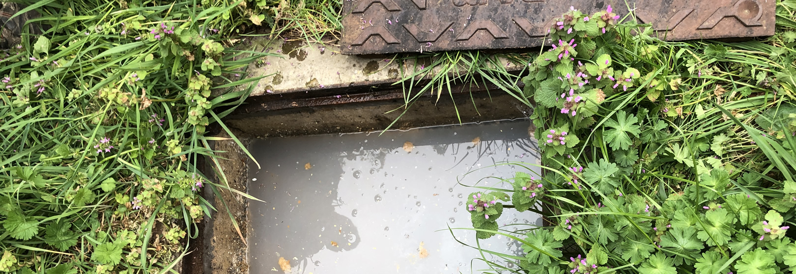 Drain Unblocking Ipswich Image