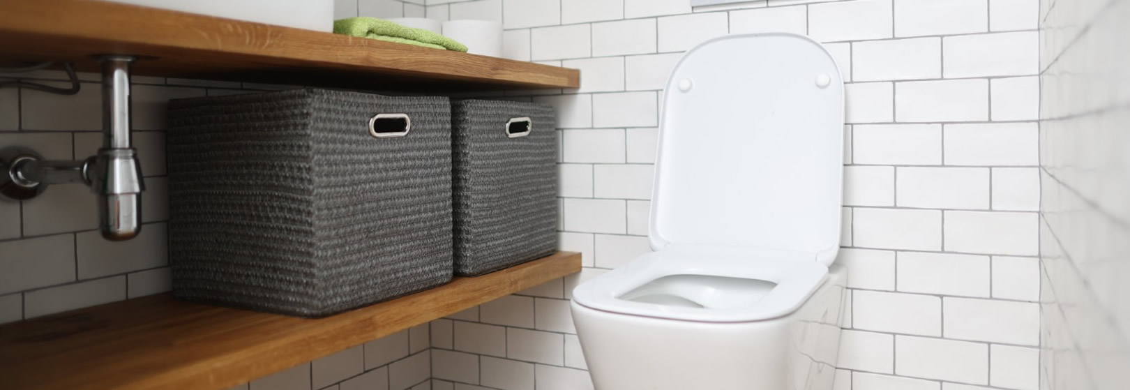 Toilet/Urinal Cleaning and Descaling Ipswich Image