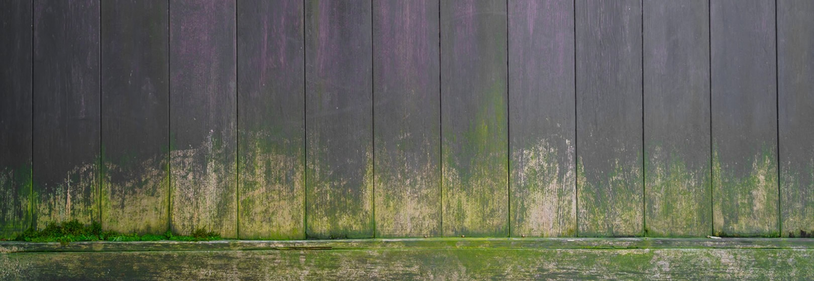 Fence Cleaning & Painting Service Image